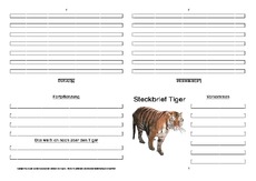 Tiger-Faltbuch-vierseitig-8.pdf